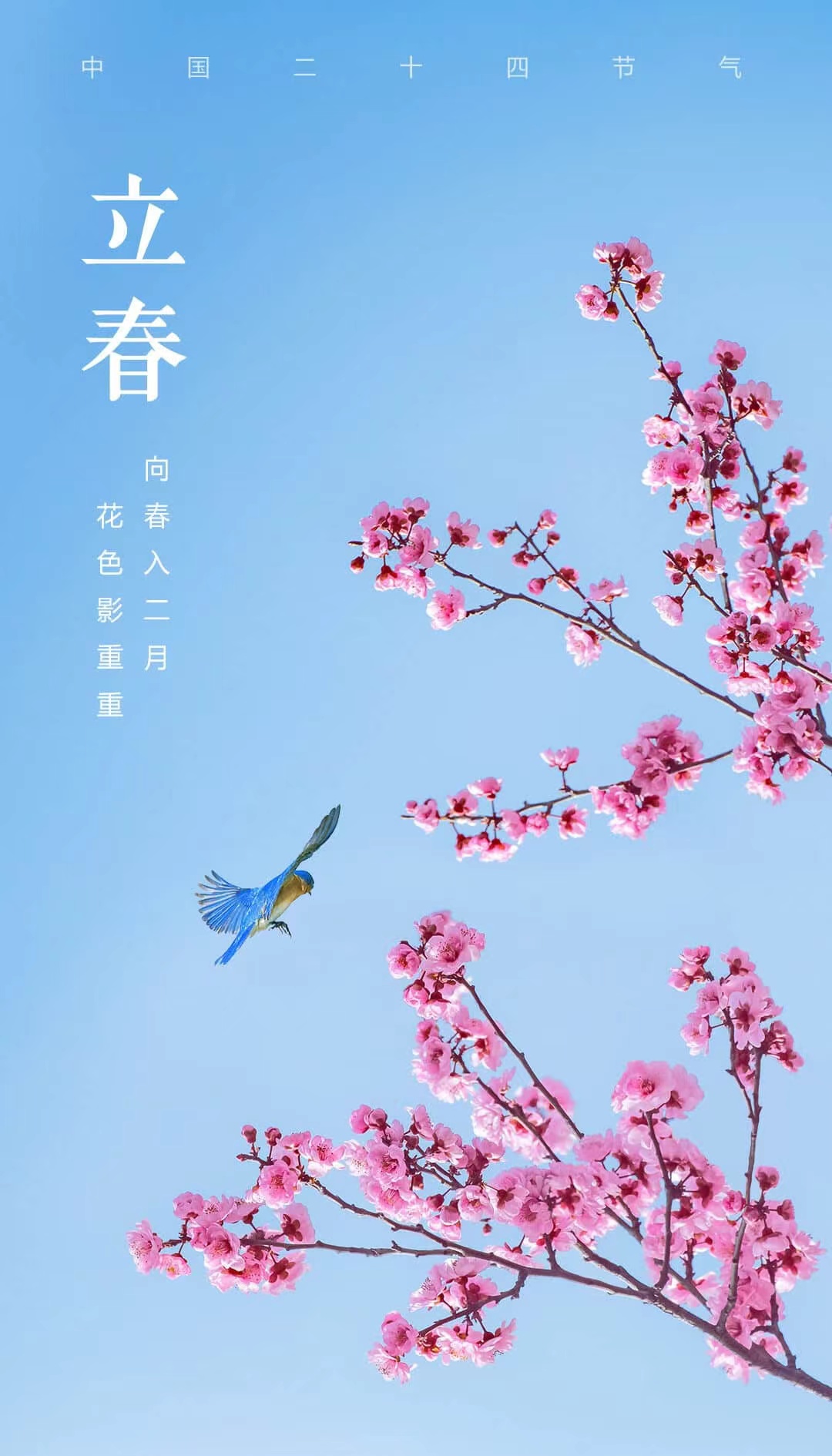 【今日，#立春#】万物更生，新岁开启！